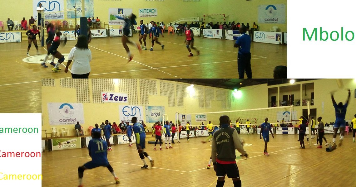 VOLLEY-BALL : Les finalistes de la coupe sont connus…