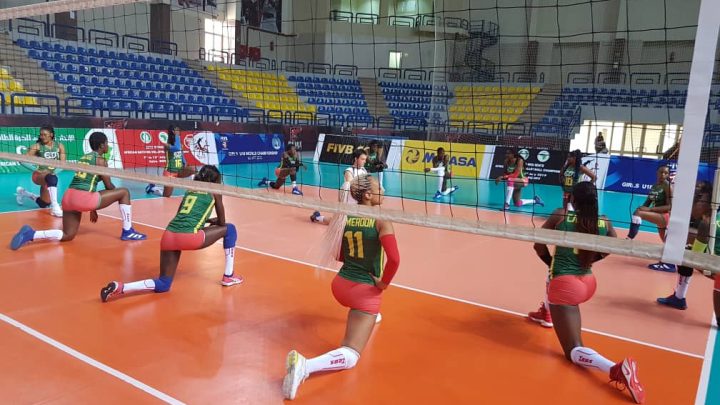 Volley-ball: Les lionnes sur le toit  de l’Afrique