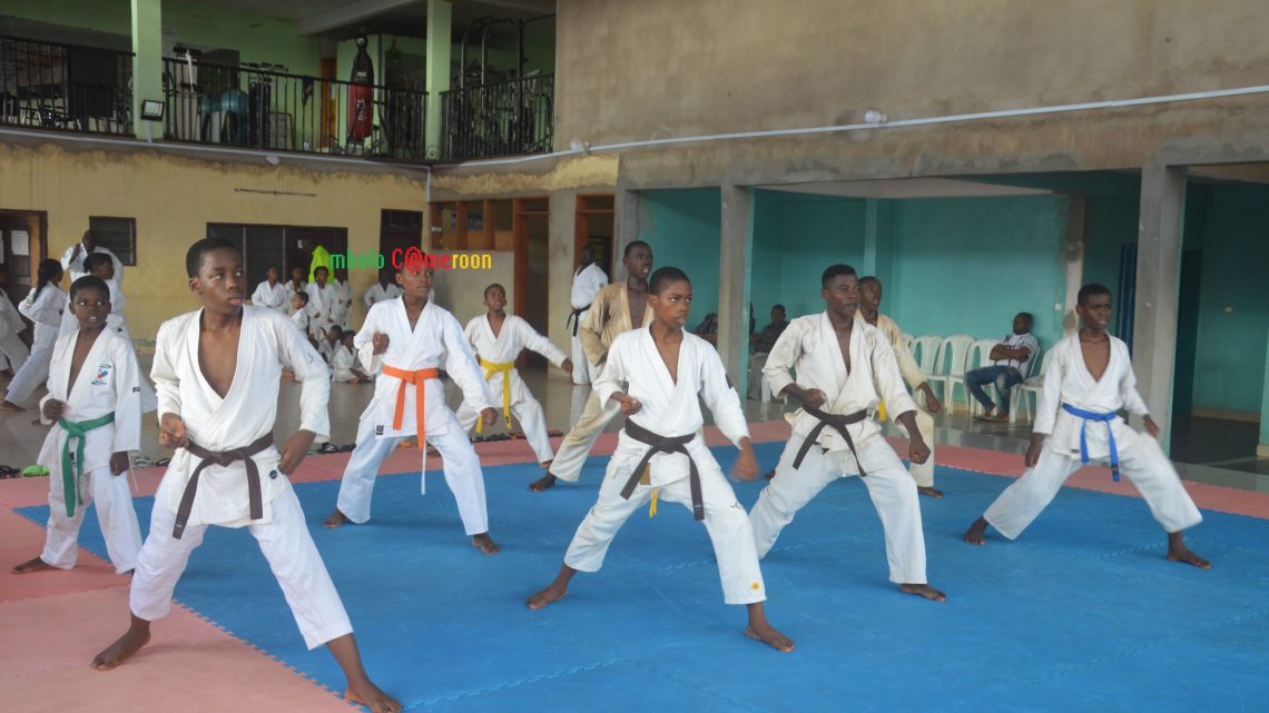 ARTS MARTIAUX : LE YAMTHE MULTI SPORTS BOUCLE SON STAGE DE VACANCES 2019