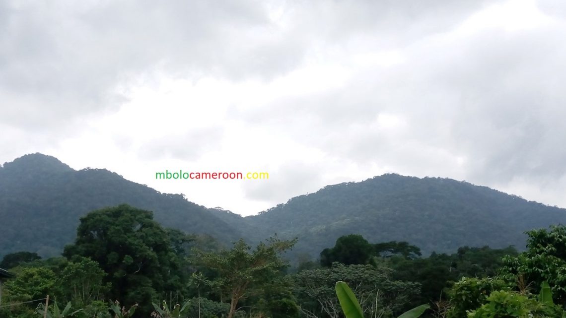 Édition 2021 de l’ascension du Mont Cameroun : Planning des courses qualificatives