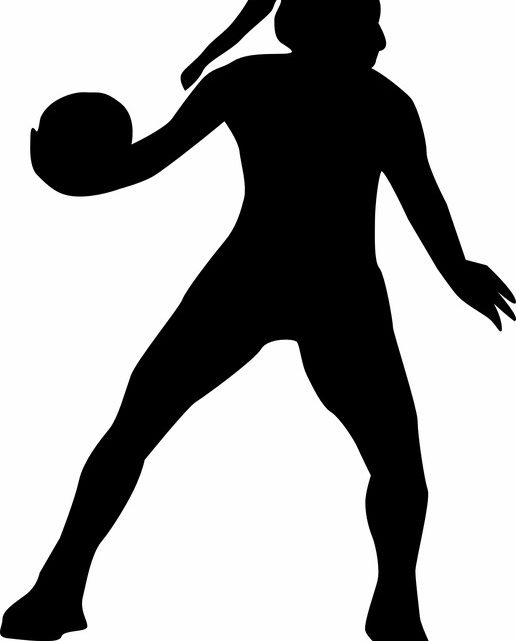 Handball : Coupe d’Afrique de Handball Dames, état des lieux du pays hôte