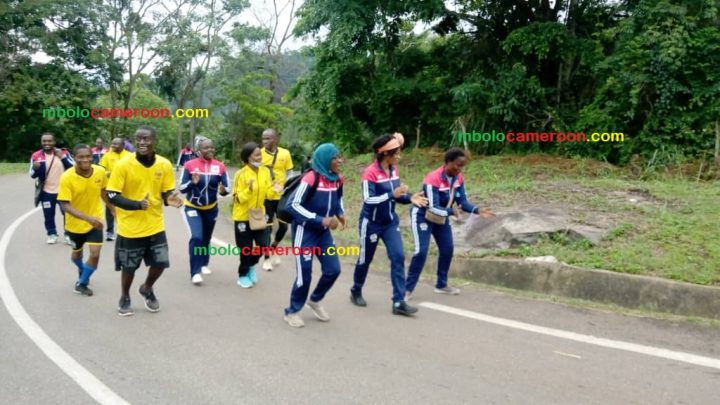 Boxe : 1er Round de la marche sportive de Makai Boxing Club