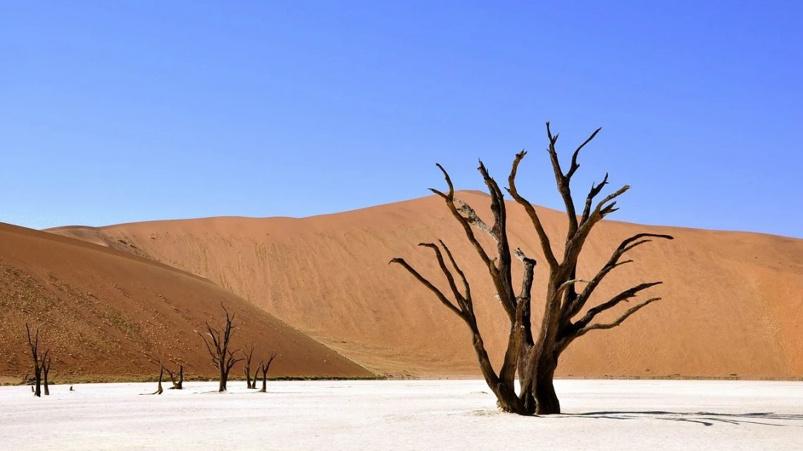 Les choses étranges que nous faisons en Afrique au nom de : « C&rsquo;est  notre culture »