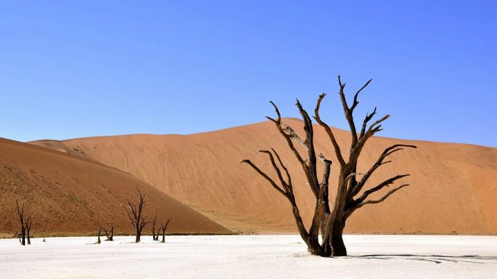 Les choses étranges que nous faisons en Afrique au nom de : « C’est  notre culture »