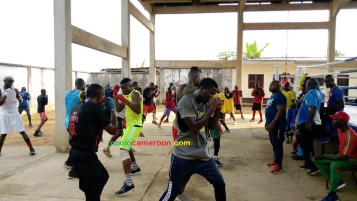 Boxe : Aspect technique et tactique d’un combat réel, Bella Olleme fait la leçon