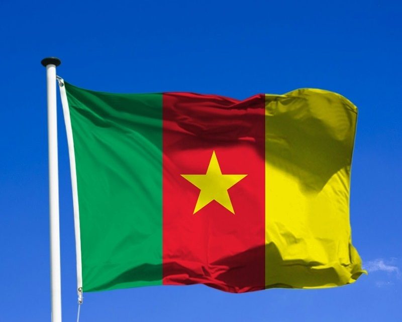 J.O Tokyo 2020 : Quelles leçons pour le Cameroun ?