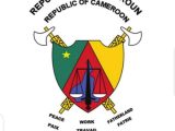 États généraux de la jeunesse du Cameroun 2021, les préparatifs vont bon train