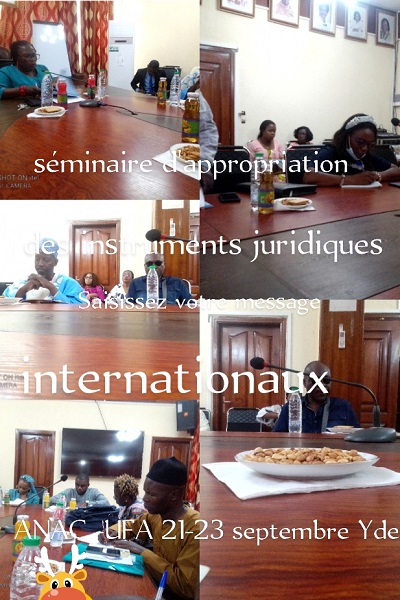 Appropriation des instruments juridiques de promotion et de protection des personnes handicapées signés et/ou ratifiés par l’Etat du Cameroun: l’organisation du séminaire se peaufine