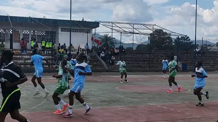 Handball : Résultats des matchs en retard de la phase retour du championnat d’élite