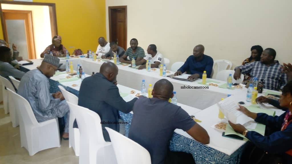 Handball : nouveau format de compétitions adopté pour la saison 2022-2023 au Cameroun