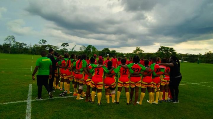 Rugby :  Les Lionnes de la balle ovale à XV  bouclent le  regroupement interne, le point