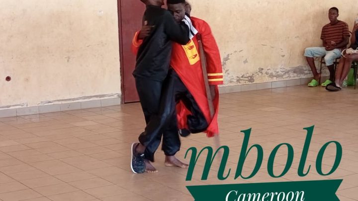 Kung Fu Wushu : la 1ère cuvée de jeunes de l&rsquo;AMSCO réussissent à l&rsquo;examen de passage de grade