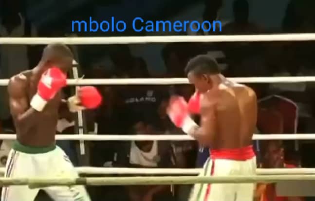 KICK-BOXING: Yaoundé, capitale africaine de la discipline….