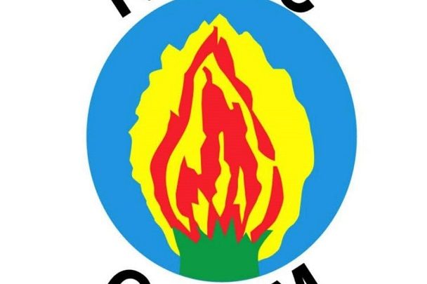 Quand la dissidence vient de l’intérieur : Léon Theiller Onana sonne la révolte au RDPC par Pharel Ateba, Journaliste