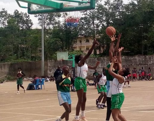 Basketball : 9e édition du tournoi des Go, on verrouille pour le dernier carré d’as