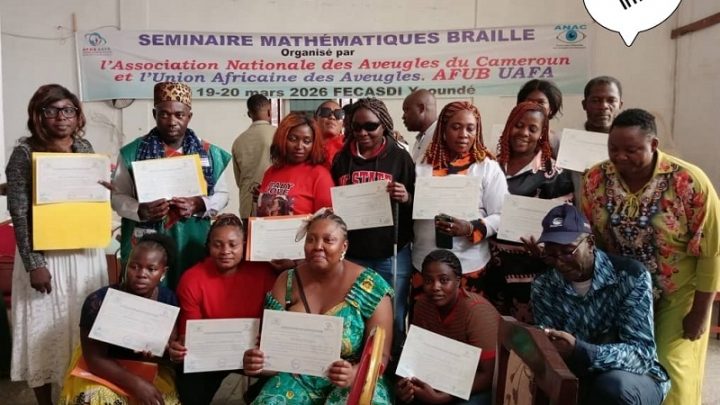 Inclusion 2.0 ANAC Breaks Down the Numerical Barrier via Mathematical Braille